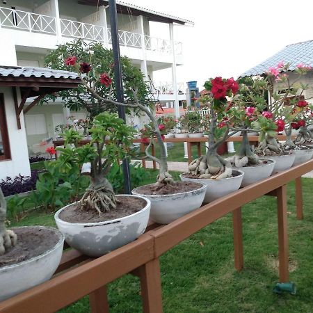 Brisamar Hotel Pousada Barra de Sao Miguel Bagian luar foto